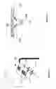 Fig. 02 - AN IMAGING DEVICE AND METHOD