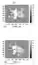 Fig. 06 - Stereoscopic image format with depth information