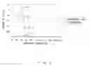 Fig. 06 - Method for adjusting lightness of image obtained by microscope