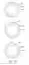 Fig. 21 - Three-dimensional display device