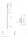 Fig. 27 - Liquid crystal display having a modified electrode array
