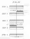 Fig. 27 - In-plane field type liquid crystal display device comprising liquid crystal molecules with more than two kinds of reorientation directions