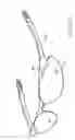 Fig. 02 - Eyeglasses and assembly method thereof