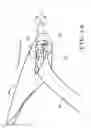 Fig. 06 - Eyeglasses and assembly method thereof