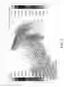 Fig. 06 - HEAT-DISSIPATING MEMBER FOR LIGHT SOURCE OF PROJECTOR