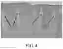 Fig. 05 - Method for analyzing mucosa samples with optical coherence tomography