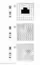 Fig. 04 - Image processing apparatus and image processing method