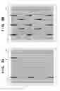 Fig. 09 - Document processing apparatus and document processing method