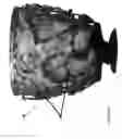 Fig. 02 - NANO-ANTENNA ENHANCED IR UP-CONVERSION MATERIALS