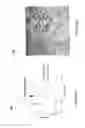 Fig. 04 - NANO-ANTENNA ENHANCED IR UP-CONVERSION MATERIALS