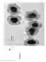Fig. 06 - NANO-ANTENNA ENHANCED IR UP-CONVERSION MATERIALS