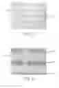 Fig. 12 - Methods of forming sheeting with composite images that float and sheeting with composite images that float