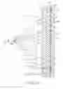 Fig. 21 - Methods of forming sheeting with composite images that float and sheeting with composite images that float