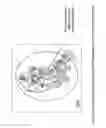 Fig. 05 - Wafer grounding methodology