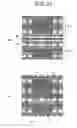Fig. 14 - FUNCTIONAL-DEVICE-EMBEDDED CIRCUIT BOARD, METHOD FOR MANUFACTURING THE SAME, AND ELECTRONIC EQUIPMENT