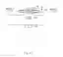 Fig. 12 - Biosensor and sensing cell array using the same