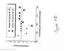 Fig. 08 - Heater and memory cell, memory device and recording head including the heater