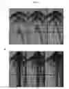 Fig. 08 - Simultaneous Multiple Source Extended Inversion
