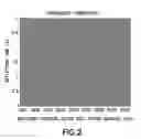 Fig. 03 - VSP imaging of acoustic interfaces