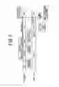 Fig. 06 - Wireless communication apparatus