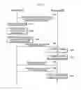 Fig. 05 - Preamble allocation method and random access method in mobile communication system