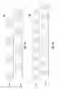 Fig. 07 - Enhanced forward link transmission