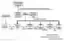 Fig. 01 - Device and method for bit-interweaving