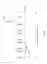 Fig. 20 - Radio communication method and radio communication device