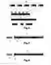 Fig. 04 - Content synchronisation for mobile communication network
