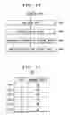 Fig. 10 - System for utilizing genetic algorithm to provide constraint-based routing of packets in a communication network