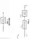 Fig. 02 - Adaptive preprocessing method using feature-extracted video maps