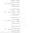 Fig. 244 - Codebook design method for multiple input multiple output system and method for using the codebook