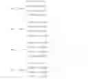 Fig. 291 - Codebook design method for multiple input multiple output system and method for using the codebook