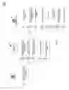 Fig. 13 - Source audio identifiers for digital communications