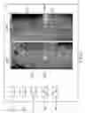 Fig. 04 - Measurement of geometric quantities intrinsic to an anatomical system
