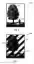 Fig. 03 - Video recording prevention system
