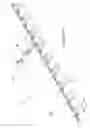 Fig. 10 - Thermoformed article stack segmenting apparatus