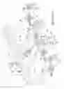 Fig. 16 - Thermoformed article stack segmenting apparatus