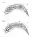 Fig. 03 - Arrangement for a gas turbine engine