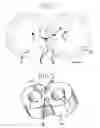 Fig. 02 - Geared hydraulic apparatus