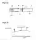 Fig. 09 - Chromatography quantitative measuring apparatus