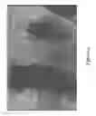 Fig. 05 - Surface preparation for a microfluidic channel