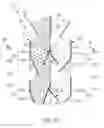 Fig. 04 - Two-stage granular moving-bed apparatus