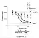 Fig. 22 - Human monoclonal antibodies that bind CXCR4