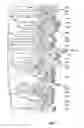 Fig. 03 - METHODS AND COMPOSITIONS USING CHELATOR-ANTIBODY CONJUGATES