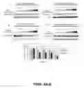 Fig. 06 - METHODS AND COMPOSITIONS USING CHELATOR-ANTIBODY CONJUGATES