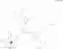 Fig. 106 - Dendritic chelated compounds, methods for making the same and pharmaceutical compositions containing the same