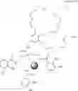 Fig. 19 - Dendritic chelated compounds, methods for making the same and pharmaceutical compositions containing the same