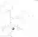 Fig. 23 - Dendritic chelated compounds, methods for making the same and pharmaceutical compositions containing the same