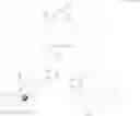 Fig. 40 - Dendritic chelated compounds, methods for making the same and pharmaceutical compositions containing the same
